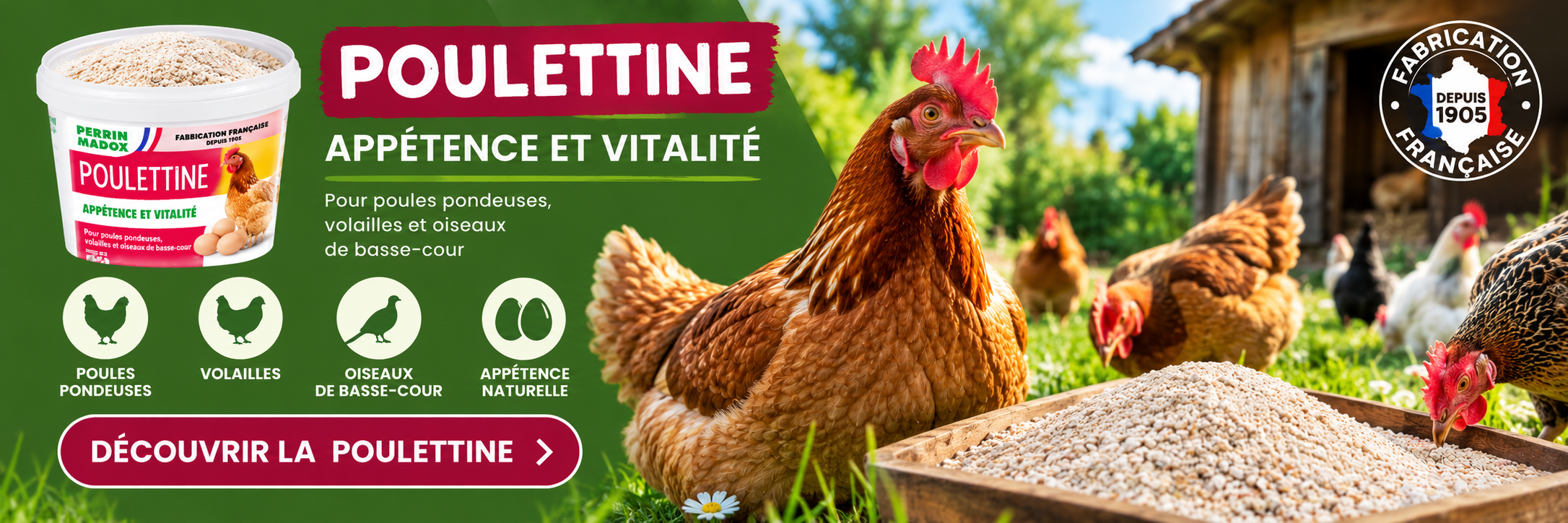Volailles aliment minéral  favorise la ponte toute l'année.
